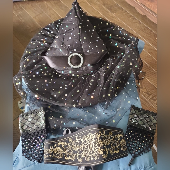 Elegant Witch Hallowe'en Costume size adult small, unique! - Picture 6 of 7